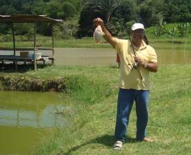 Pond fishing in Tuaran