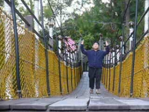 Suspension bridge