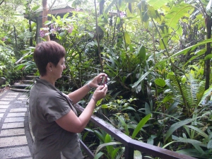 Photographing the tiny orchids