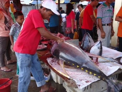 Fresh tuna