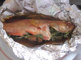 Steamed Garoupa