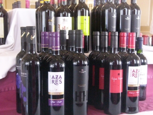 Third set of Albacete wines
