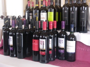 Fourth set of Albacete wines
