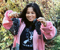 Nebbiolo Grapes