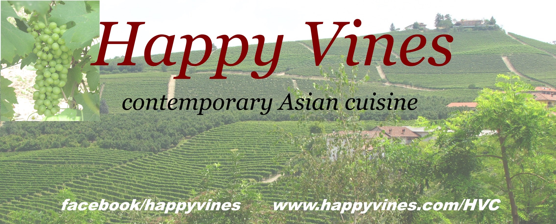 Happy Vines logo