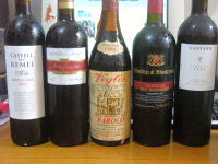 Lineup of the red wines