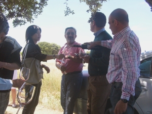 Vineyard picnic at Vinos Cambronero