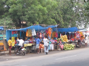 Trichy colours