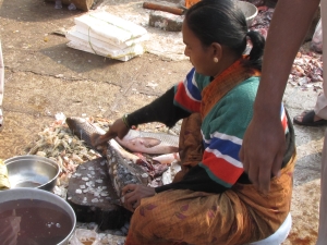 Fish cleaner