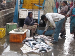 Hyderabad Fish market